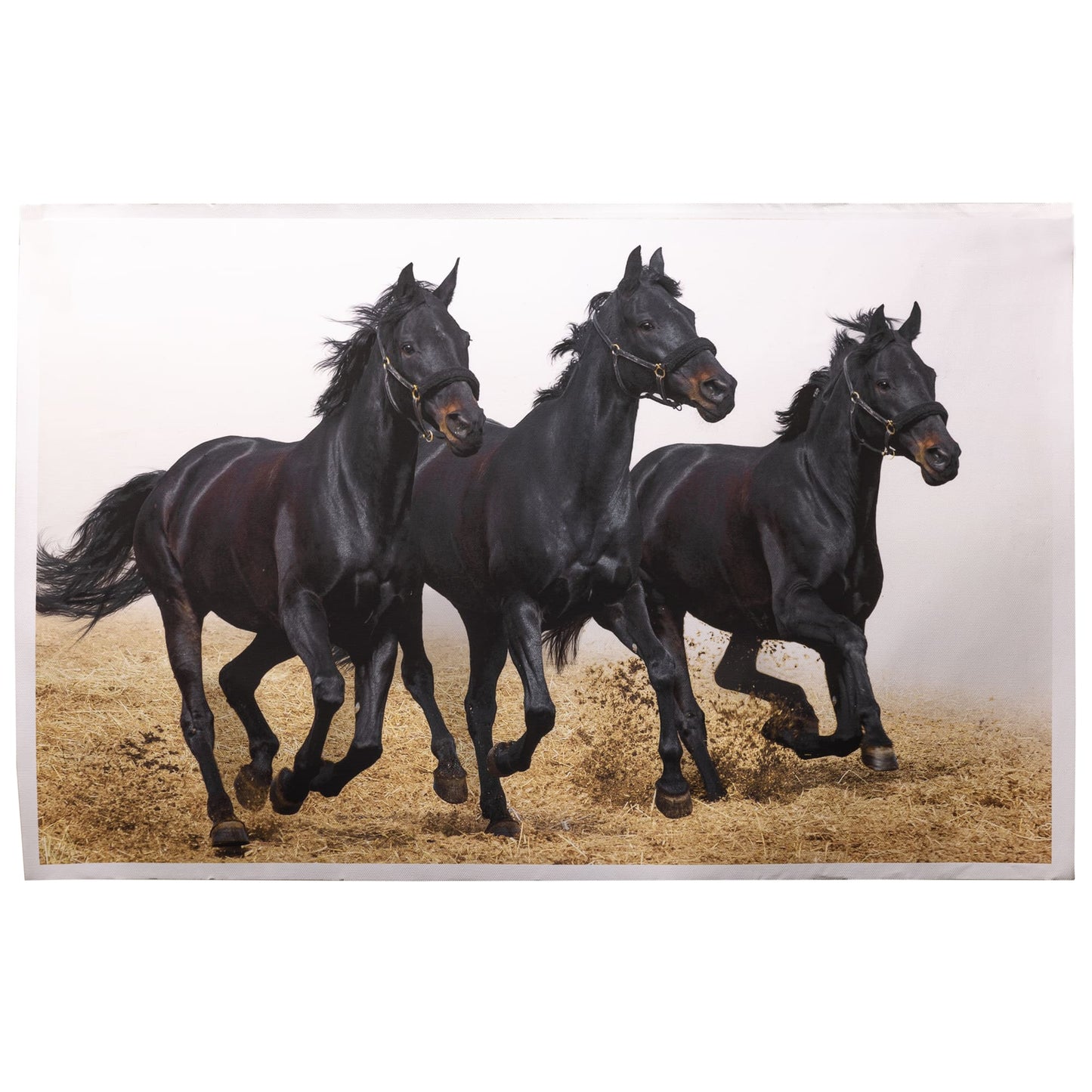 3 Black Running Horses
