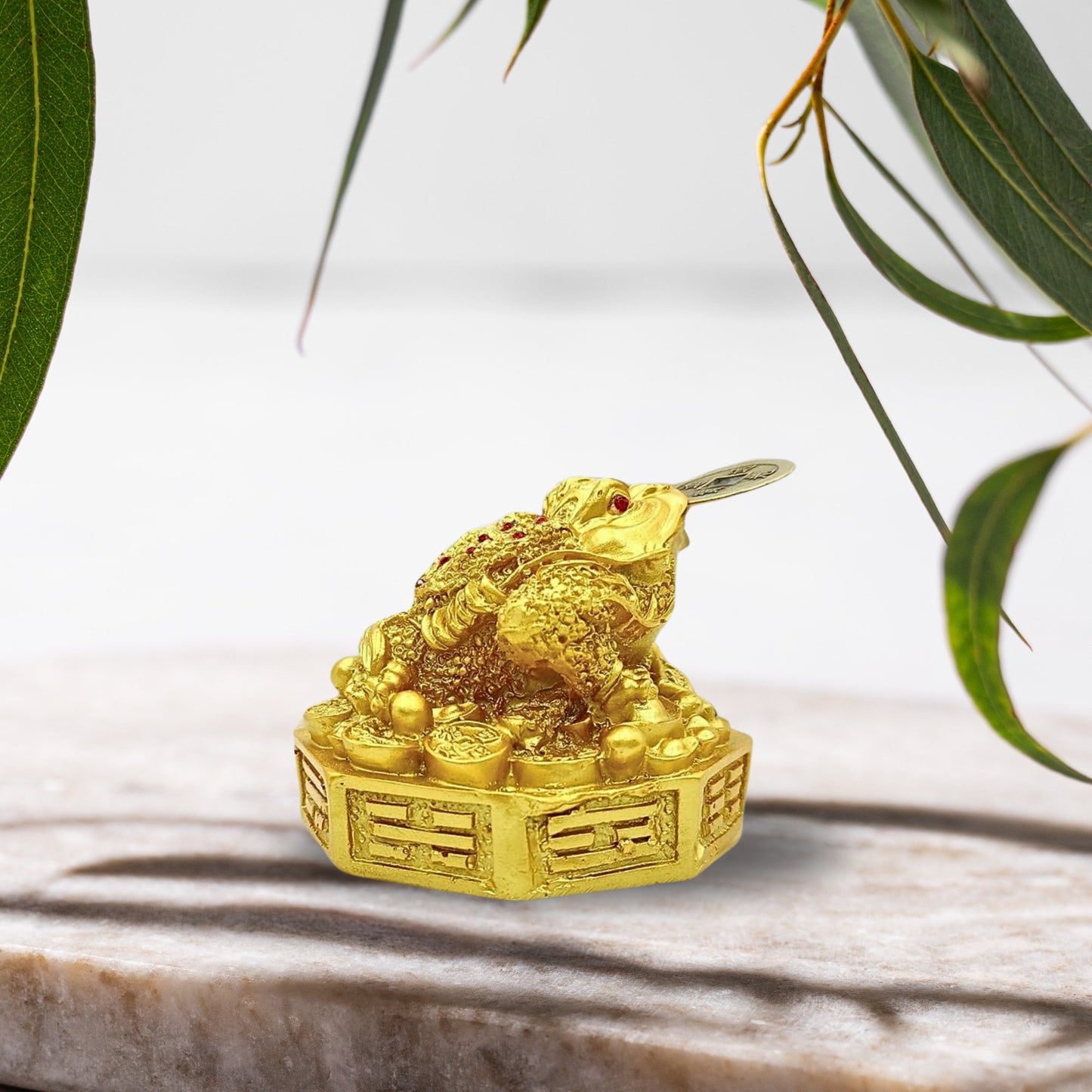 3-Legged-Feng-Shui-Frog