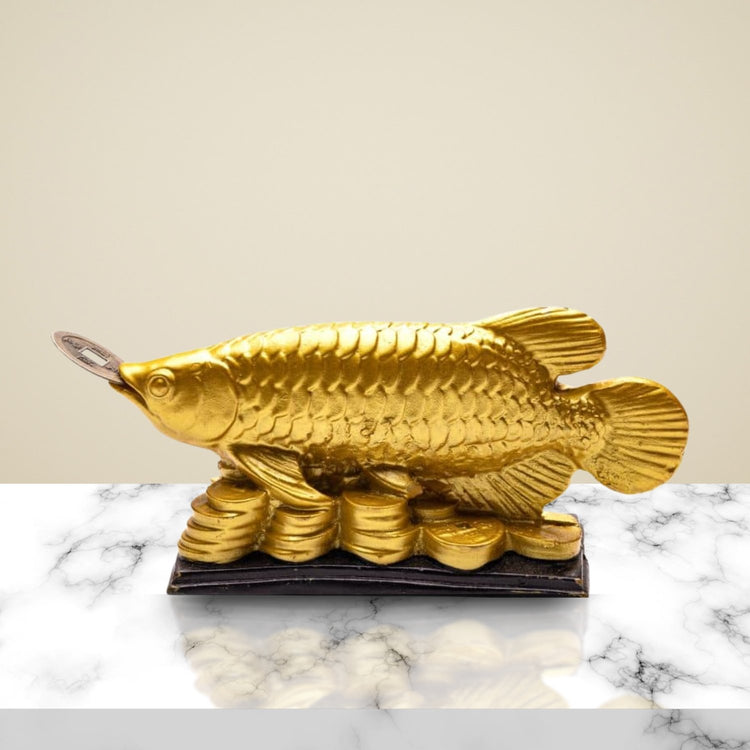 Arowana-Fish1