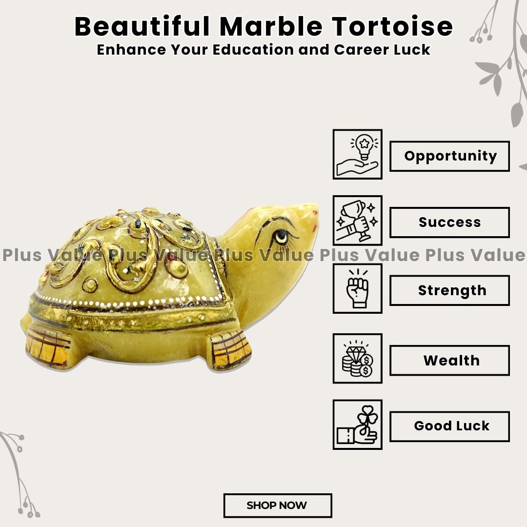 Beautiful Marble Tortoise