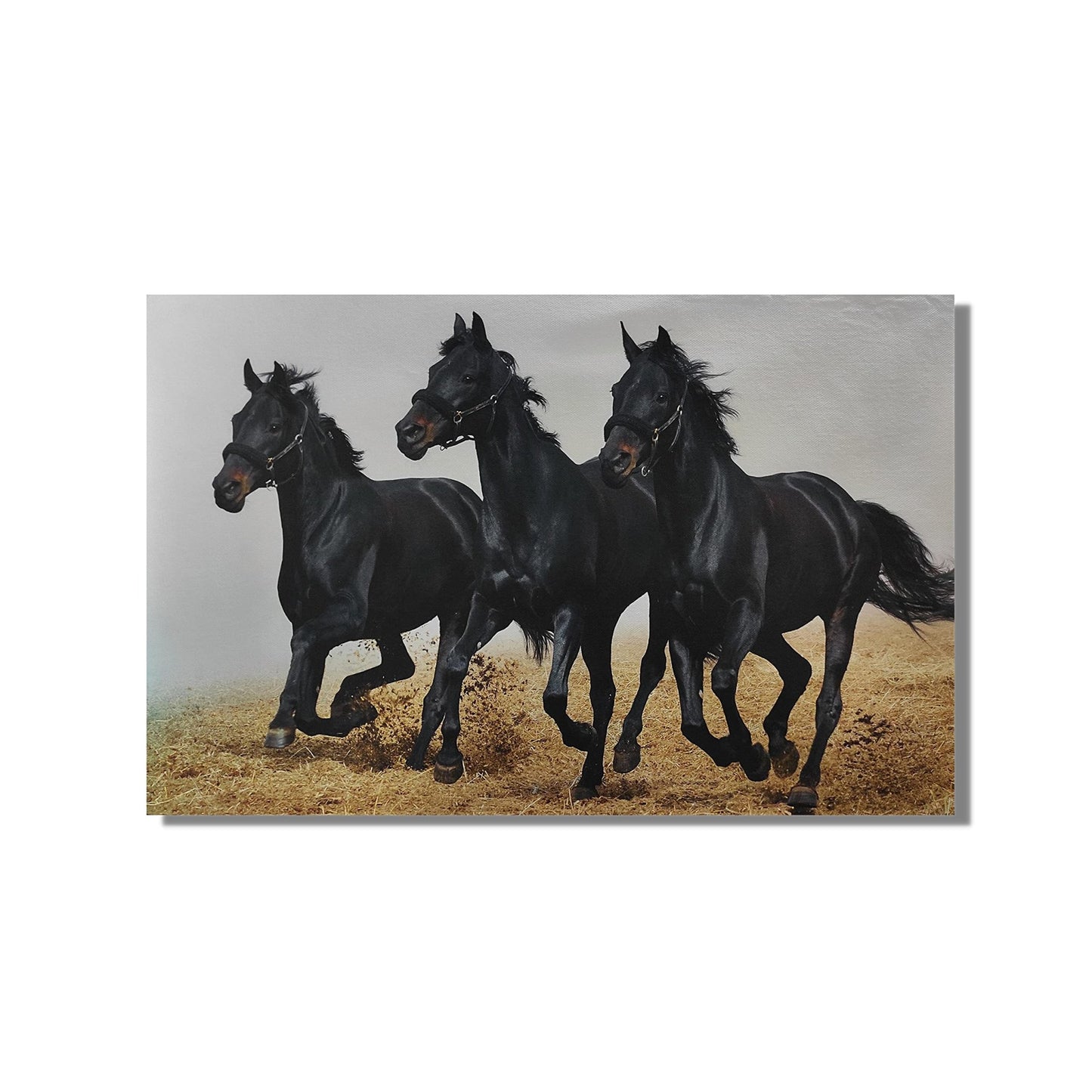 Running Three Black Horses - Vastu & Feng Shui Canvas Print, Paintings - plusvalueindia