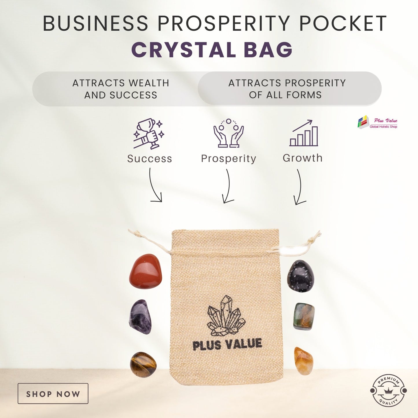 Business-Prosperity-Pocket-Crystal-Bag