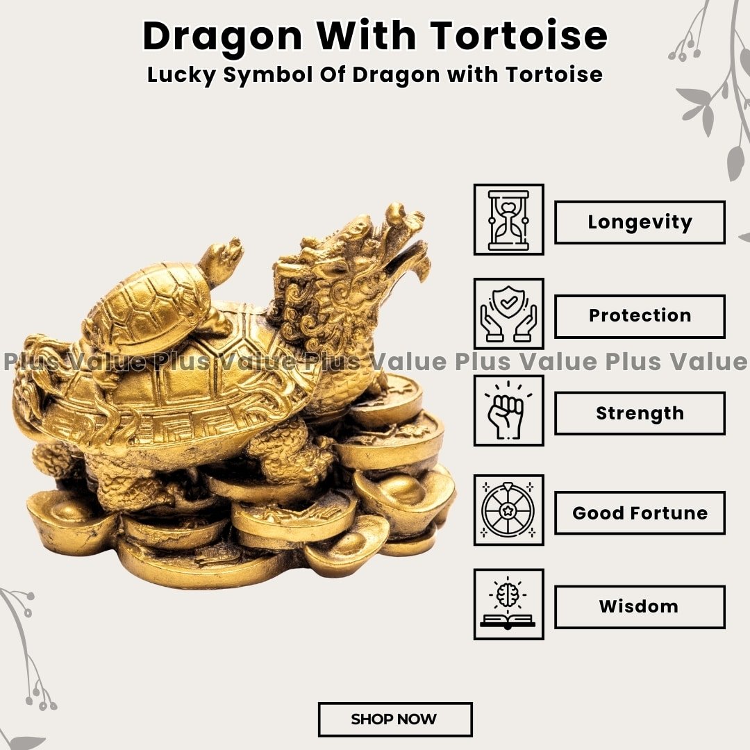 Dragon With Tortoise