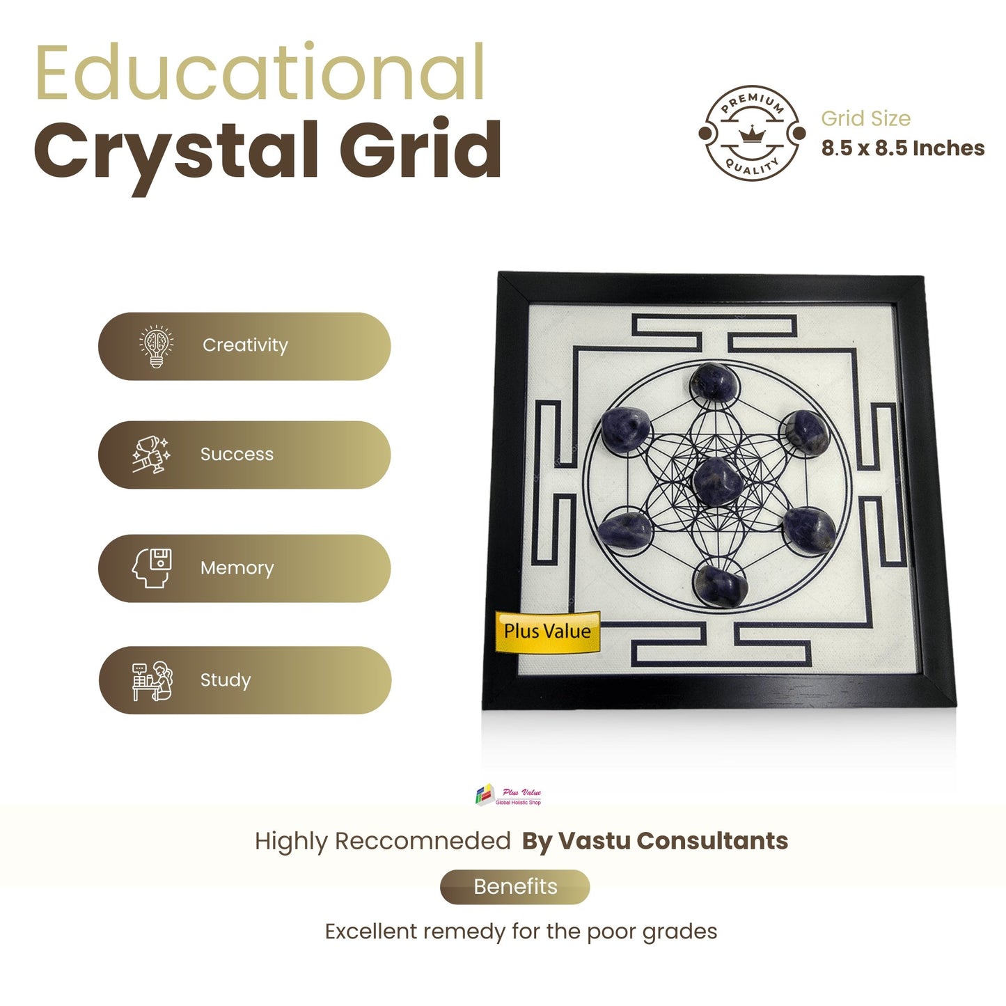 Educational-Plate-Crystal-Grid