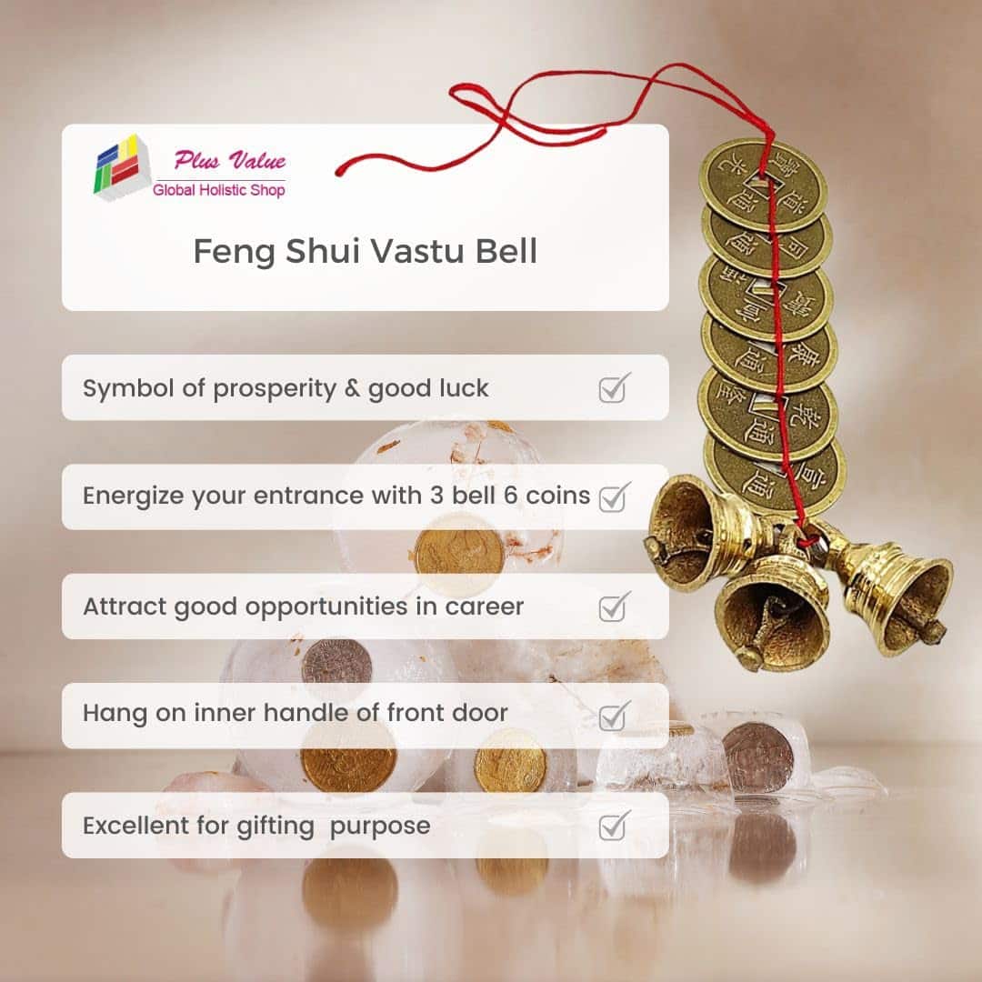 Feng Shui Vastu 3 Bell 6 Coin Big