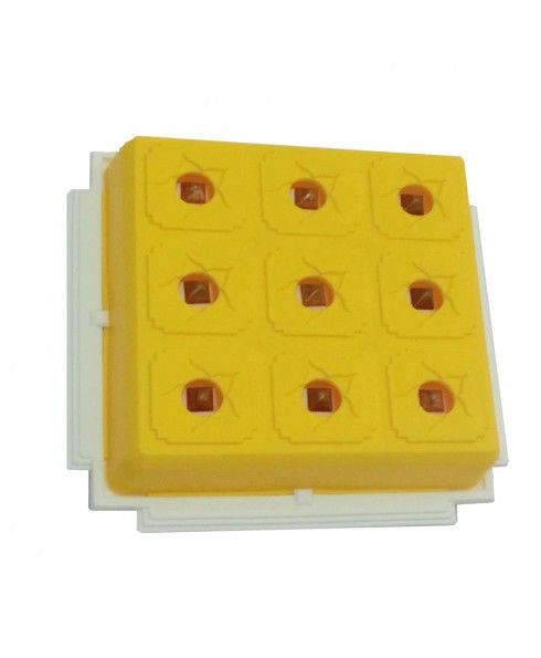 Buy Jiten Health 9x9 Yellow Pyramid Online in India