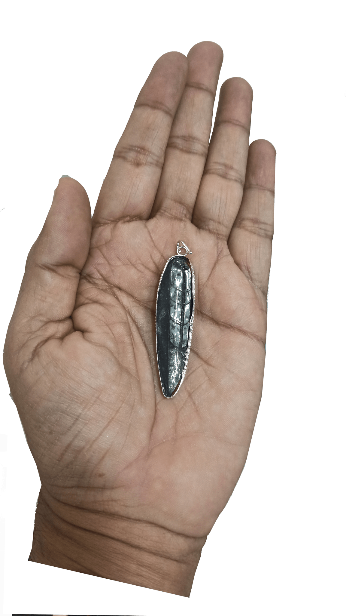 Orthoceras Fossil Kuber Stone Finance Pendant - plusvalueindia