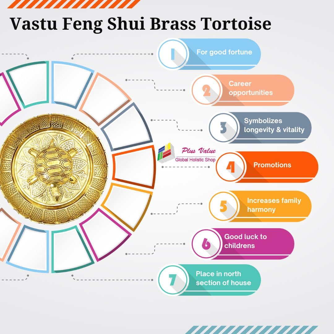 Premium Tortoise Plate