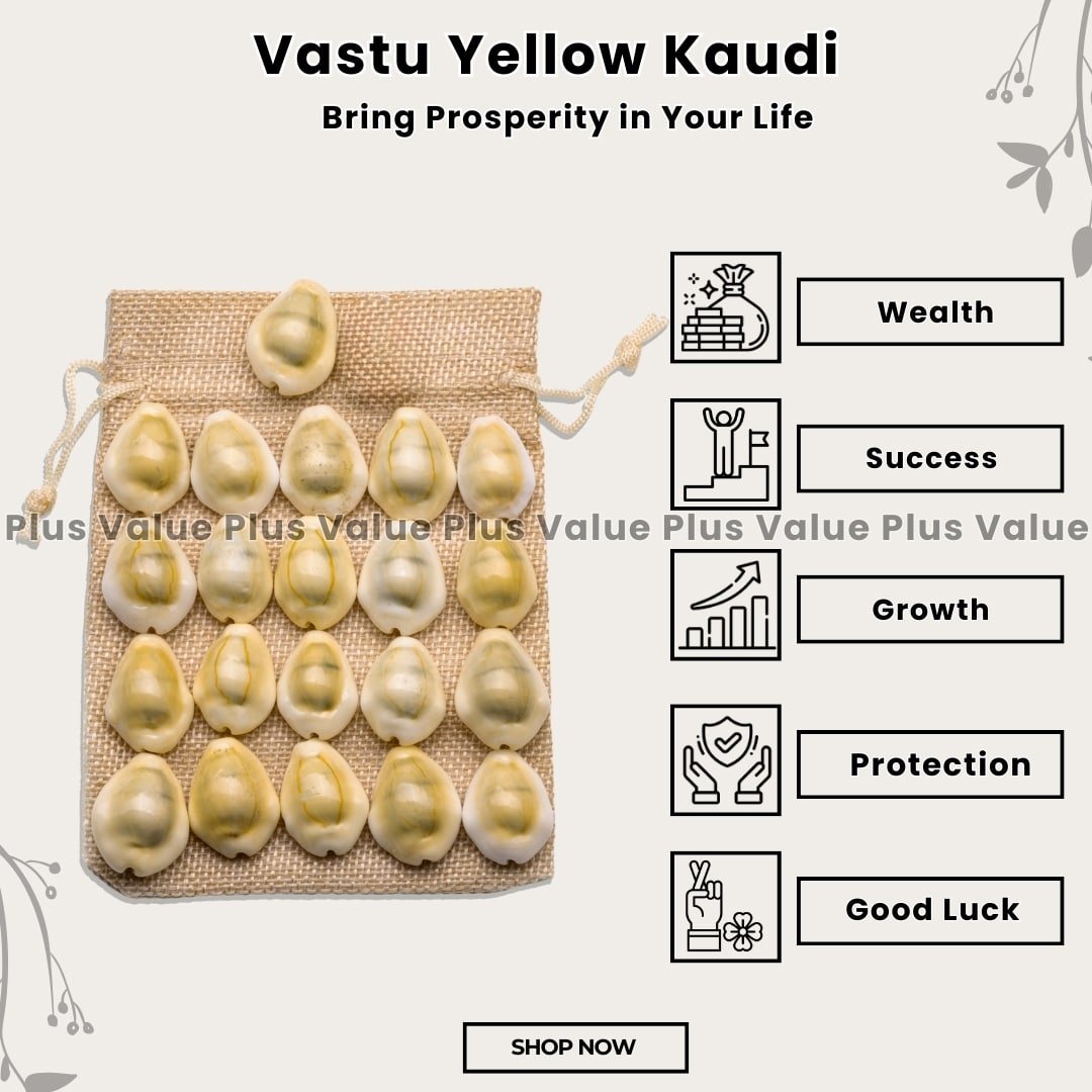 regular-yellow-kaudi-21pcs