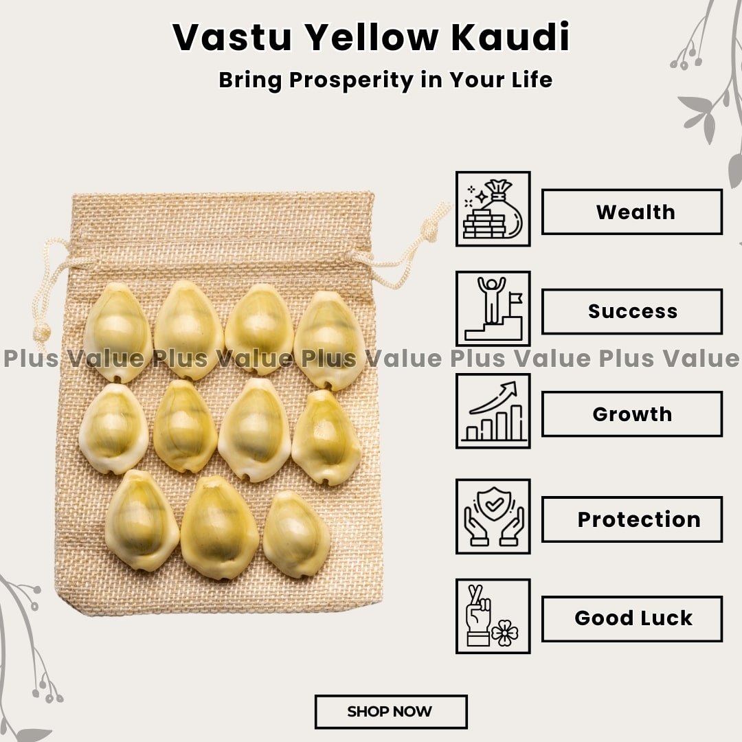 regular-yellow-kaudi-11pcs