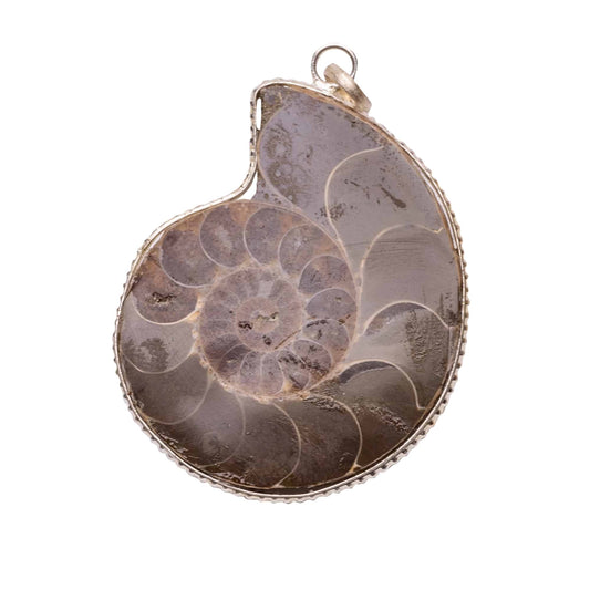 ammonite stone pendant