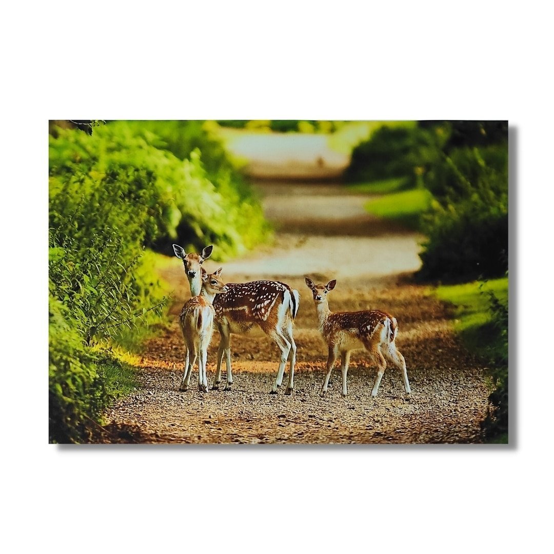 Deer Painting – Vastu & Feng Shui Canvas Print for Longevity and Prosperity - plusvalueindia