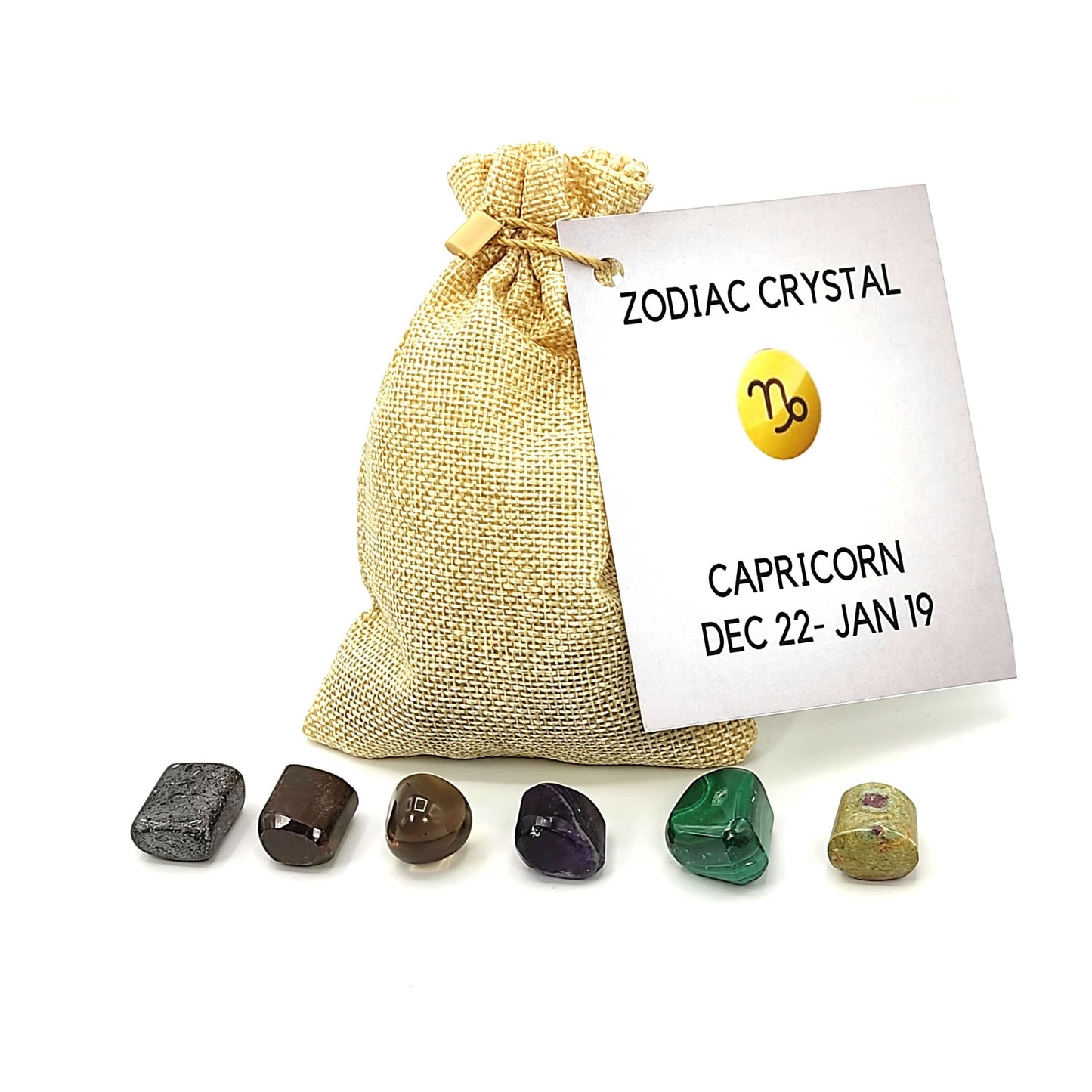capricorn zodiac crystal bag
