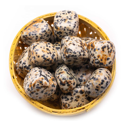 dalmatian jasper tumble pebble stone 200gm basket