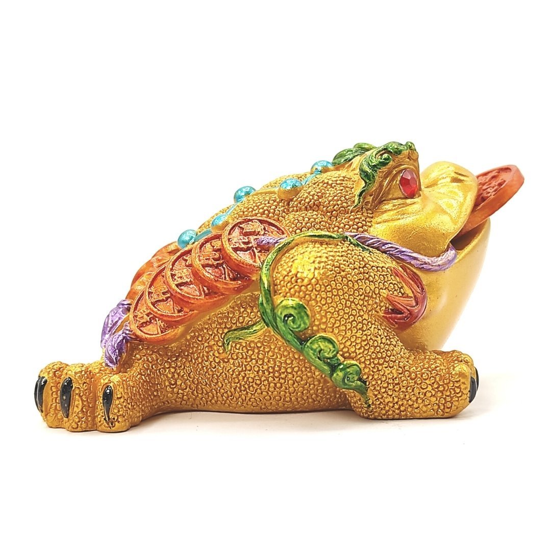 Feng Shui Frog - Toad Multi Colour With Coin - plusvalueindia