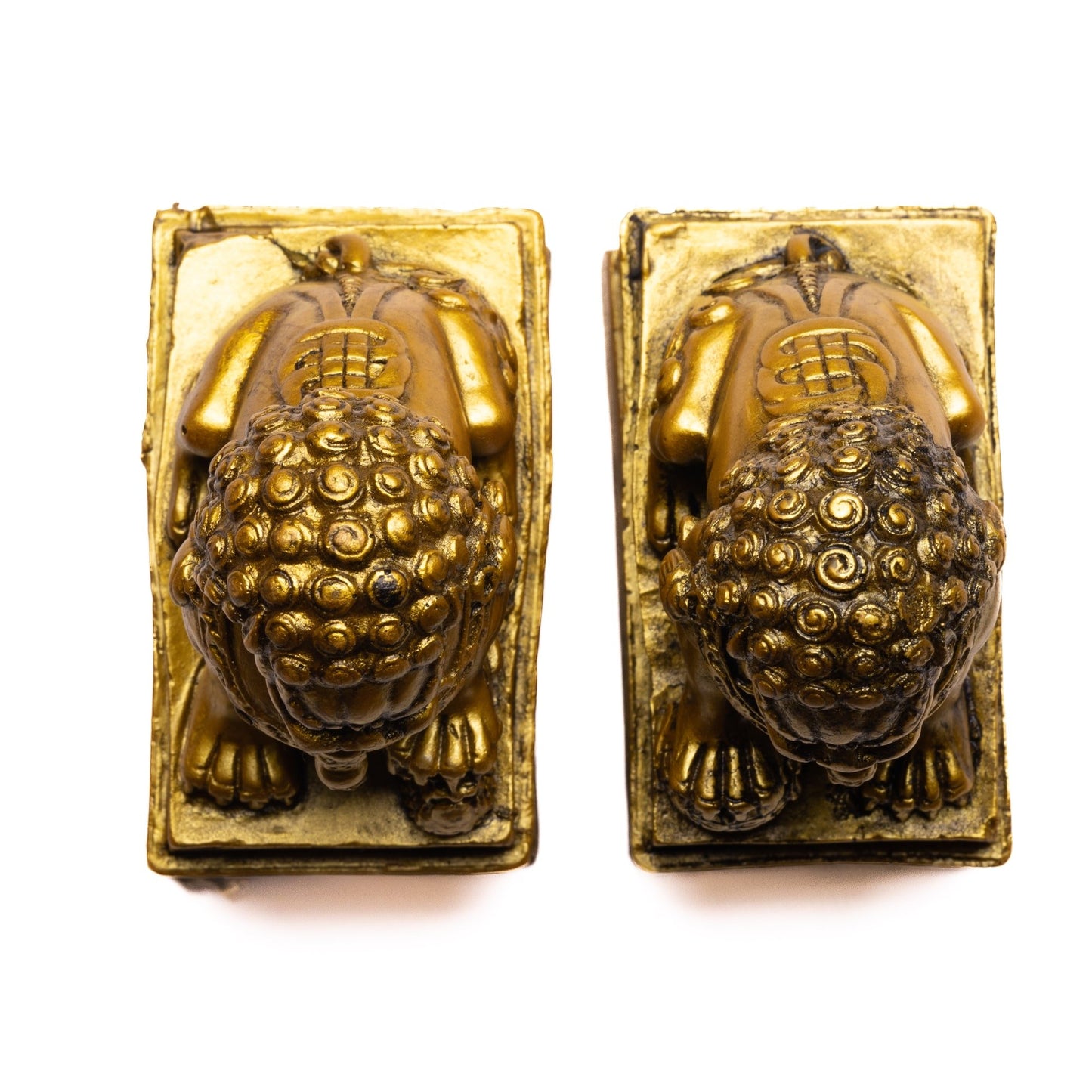 feng shui fu dogs pair fengshui item