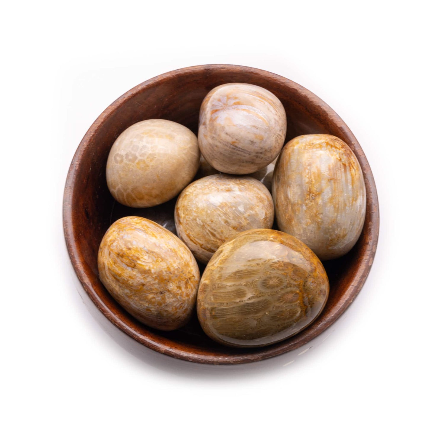 fossil coral tumble pebble stone 300gm wooden bowl