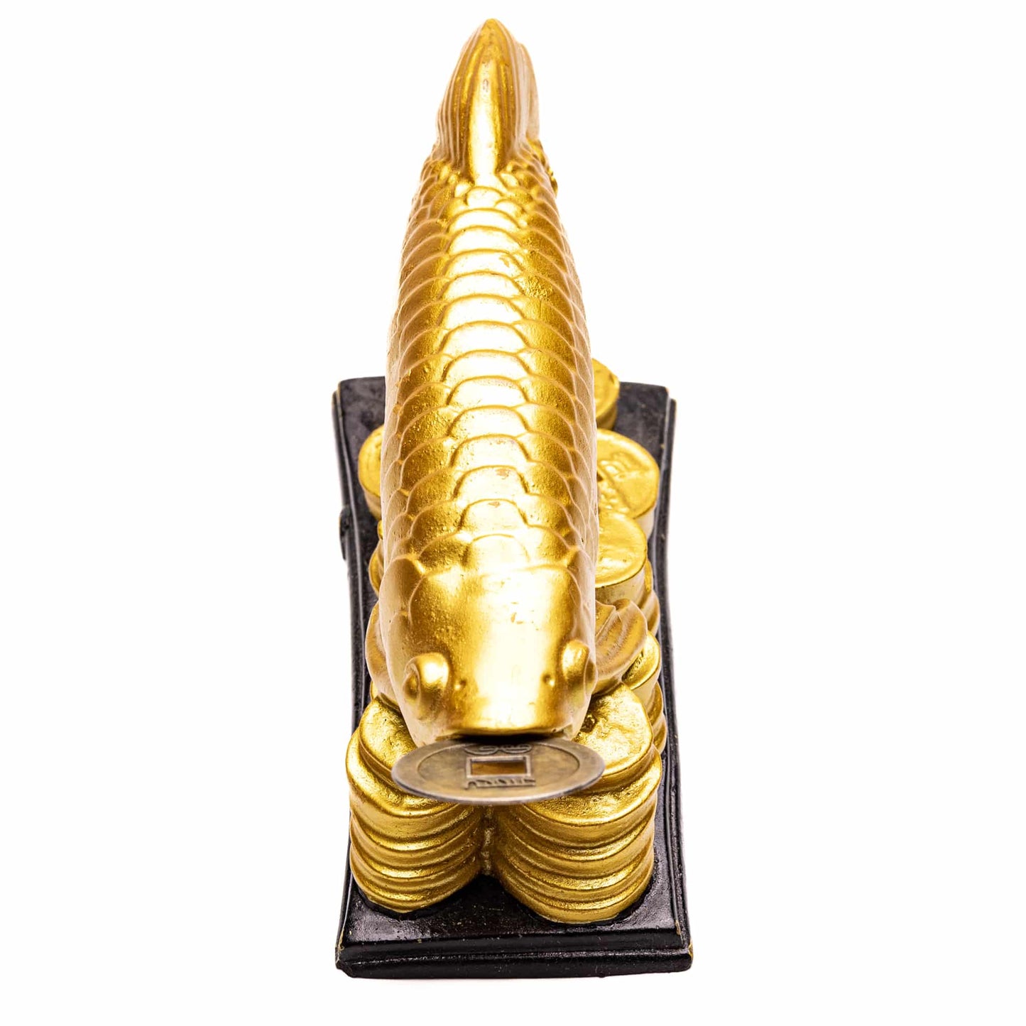 golden arowana fish feng shui remedy fengshui