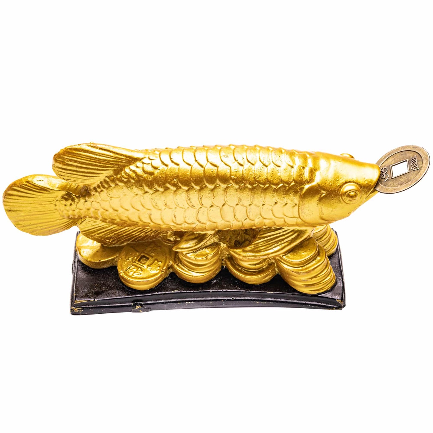 golden arowana fish feng shui remedy