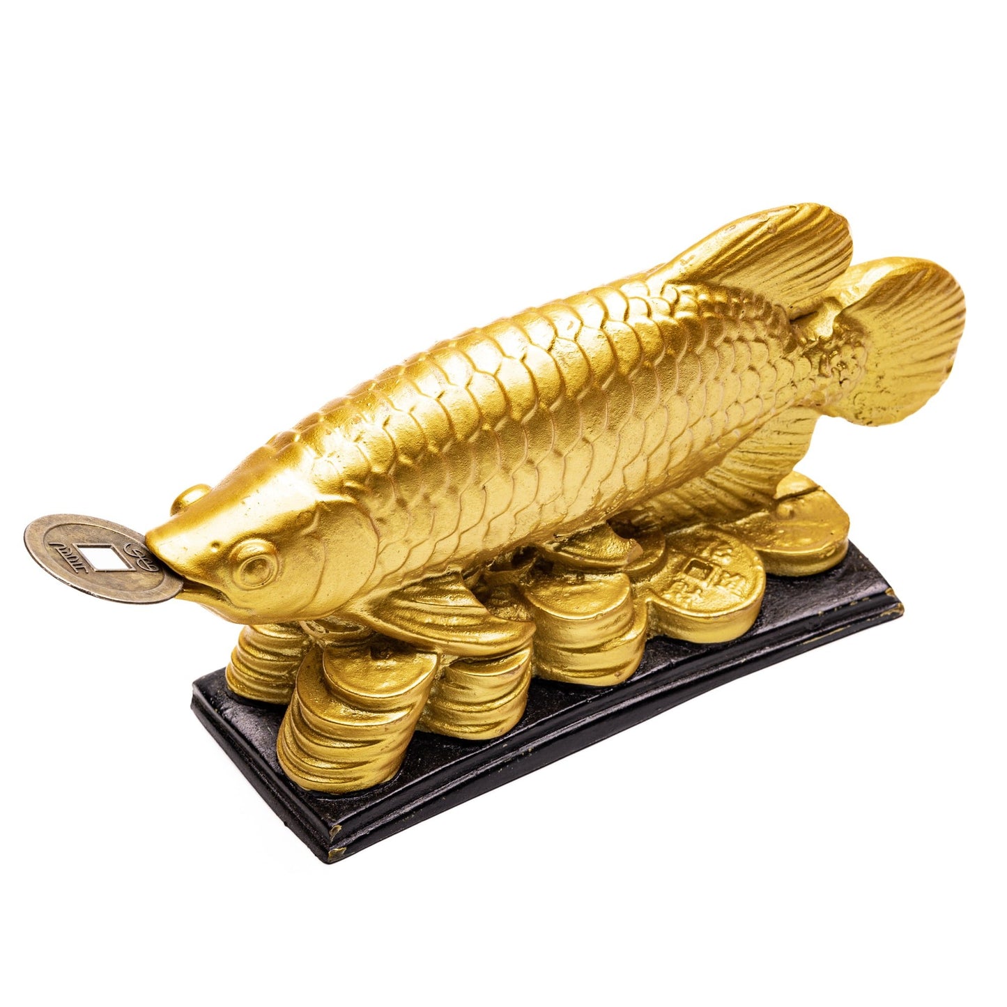 golden arowana fish feng shui