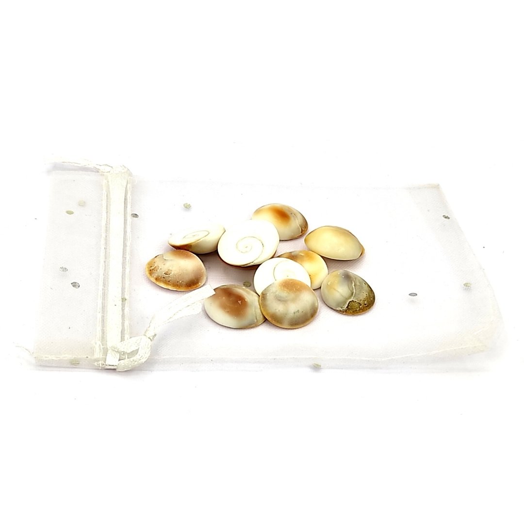 Gomti Chakra Set for pooja ghar and home decor