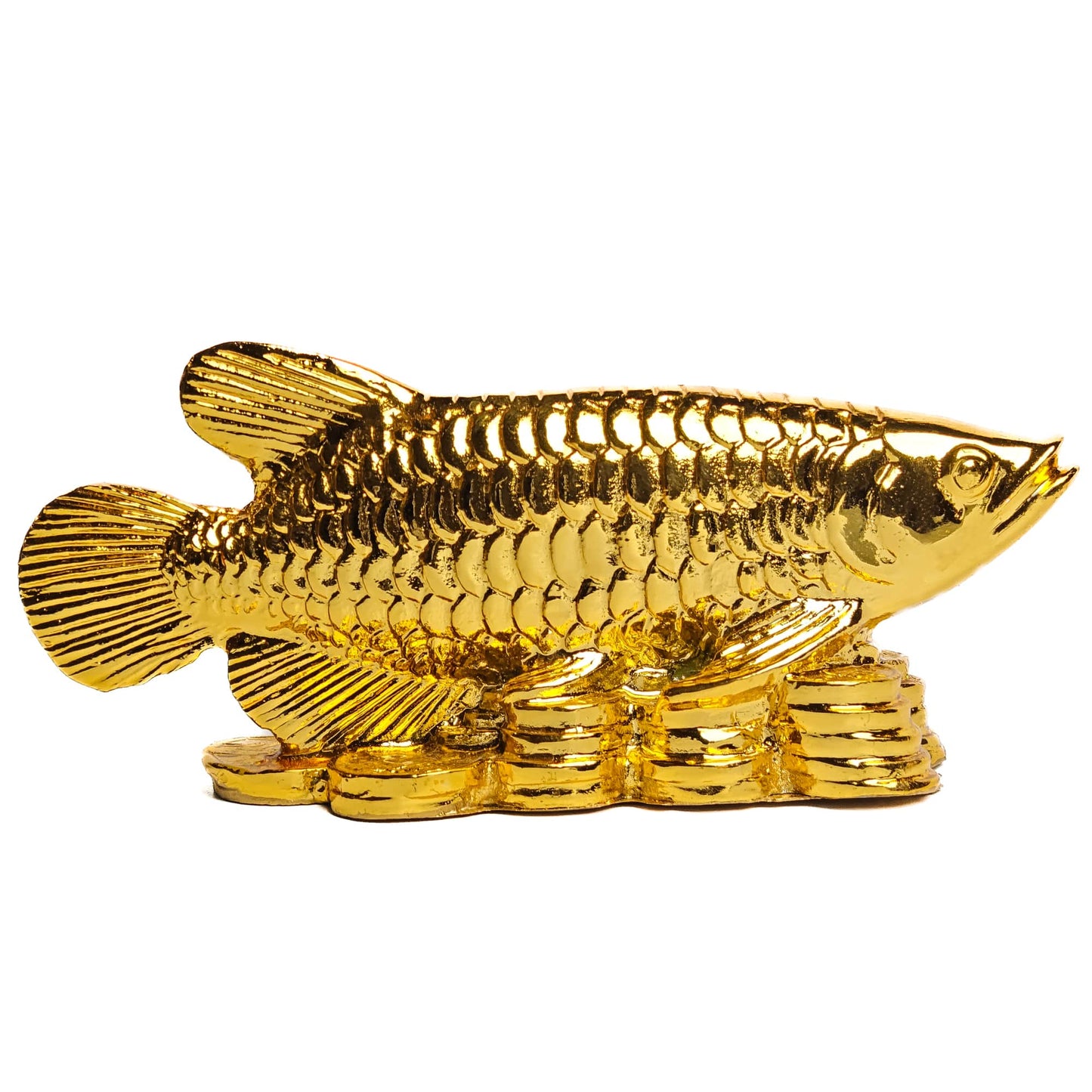 new arowana fish feng shui