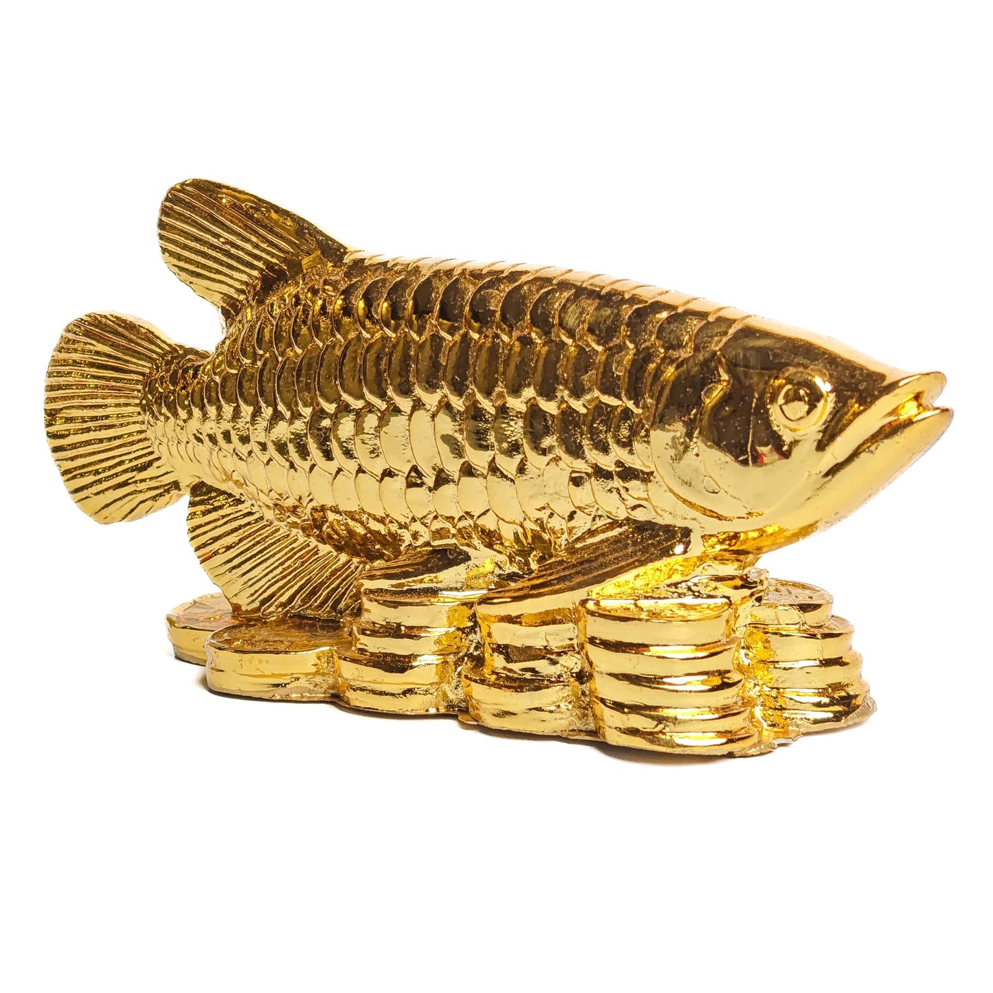 new arowana fish fengshui