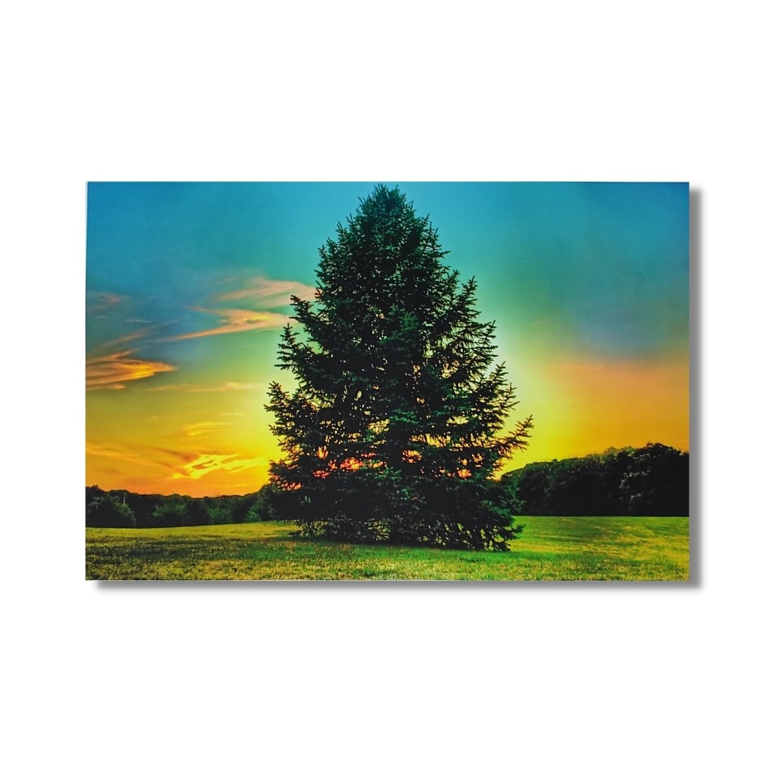 Pine Tree Painting - Vastu & Feng Shui Canvas Print Paintings for Home & Bedroom Decor - plusvalueindia