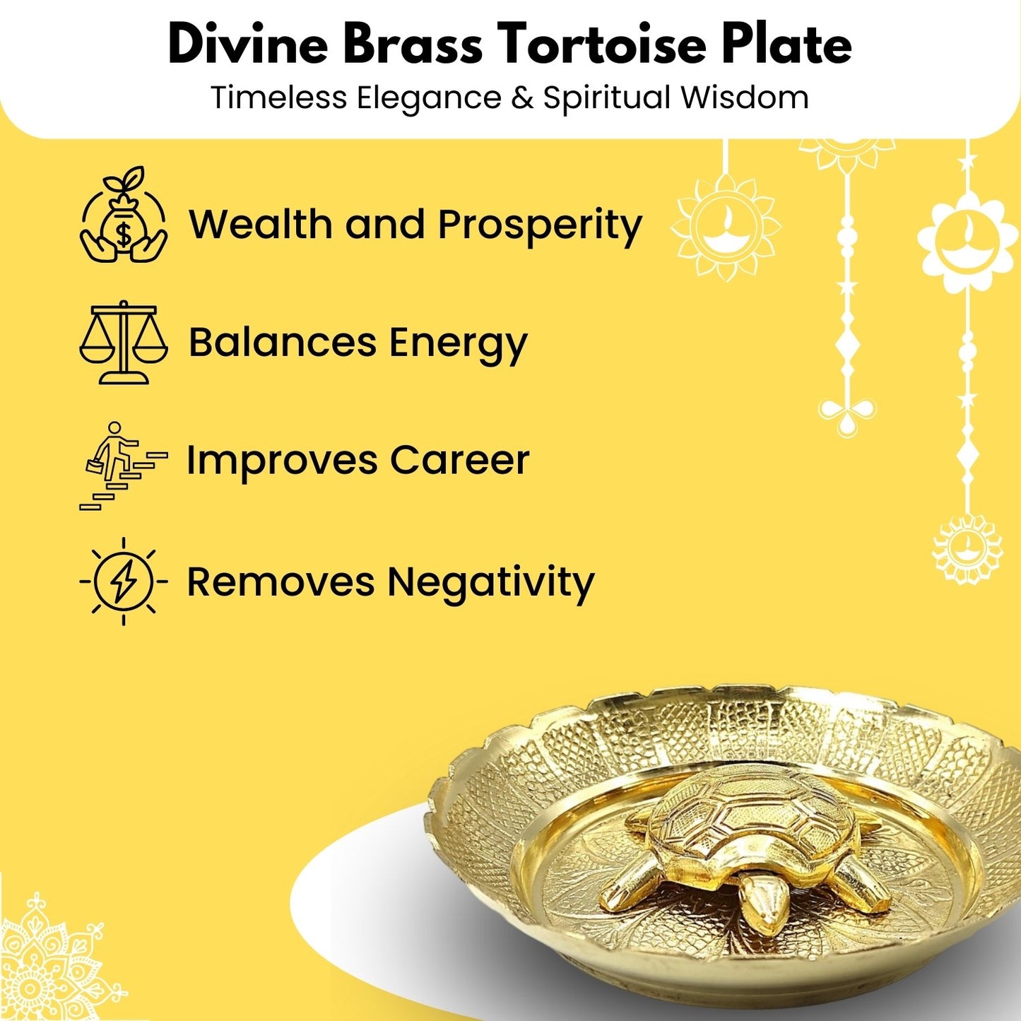 premium-tortoise-3