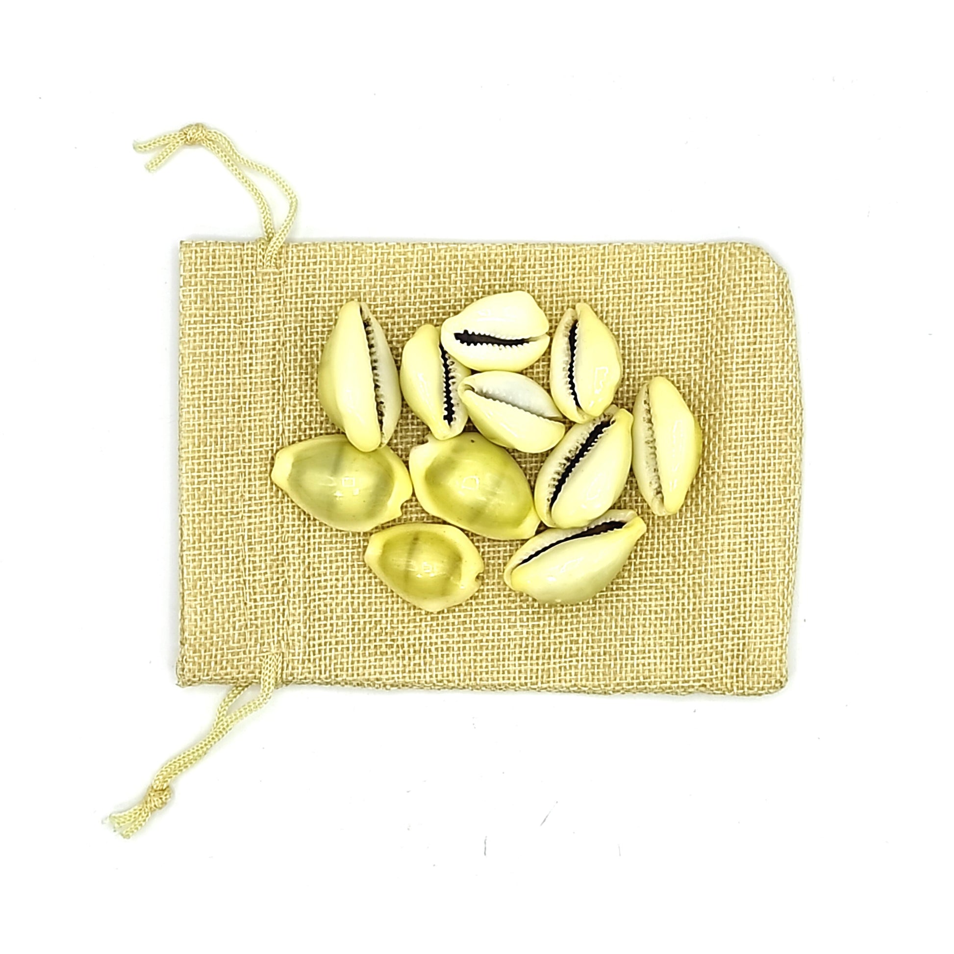 premium-yellow-kaudi-11pcs