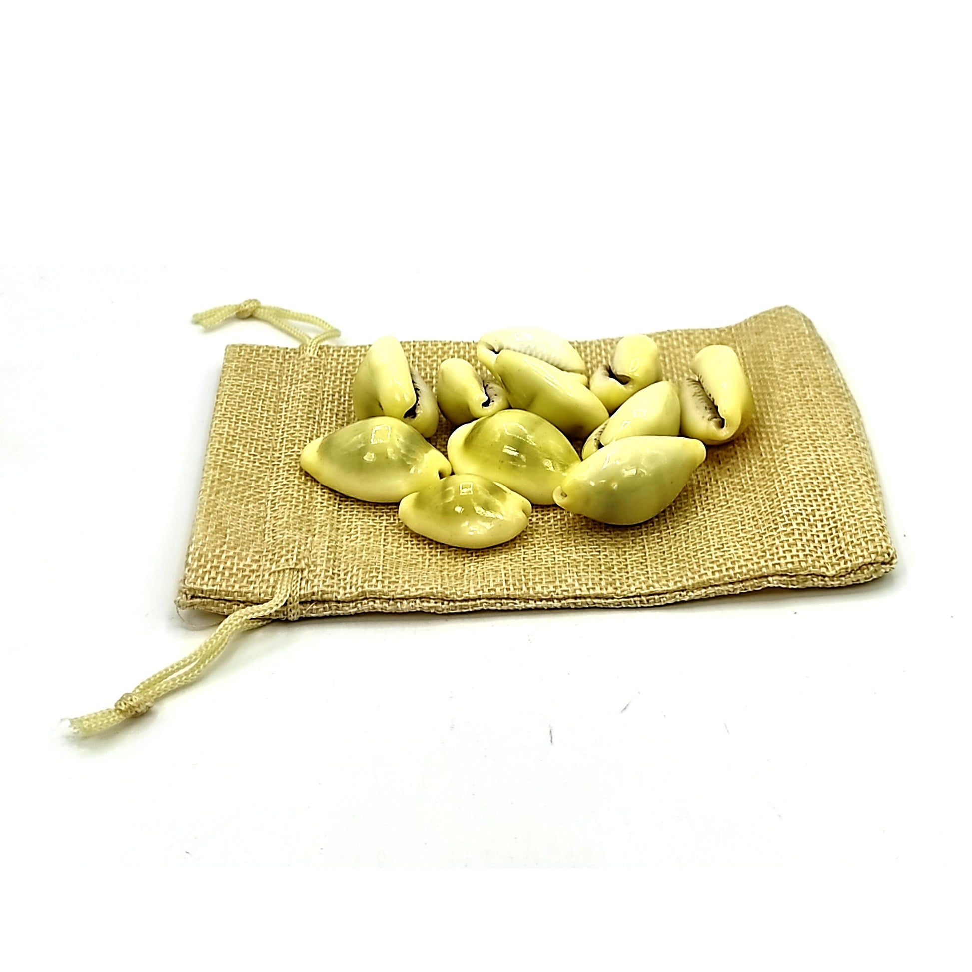 premium-yellow-kaudi-11pcs