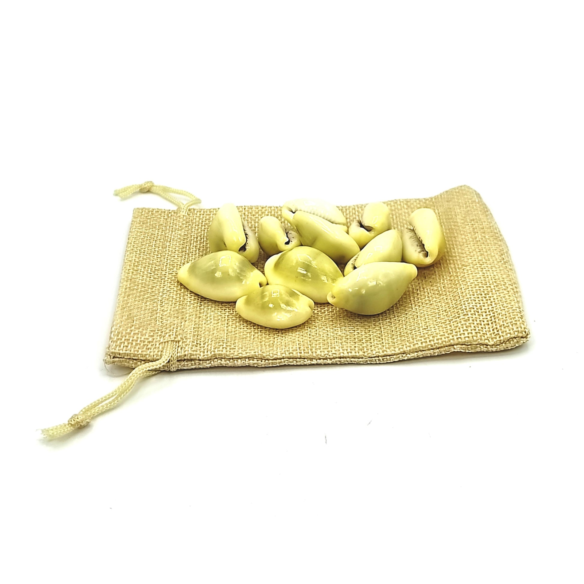 premium-yellow-kaudi-11pcs