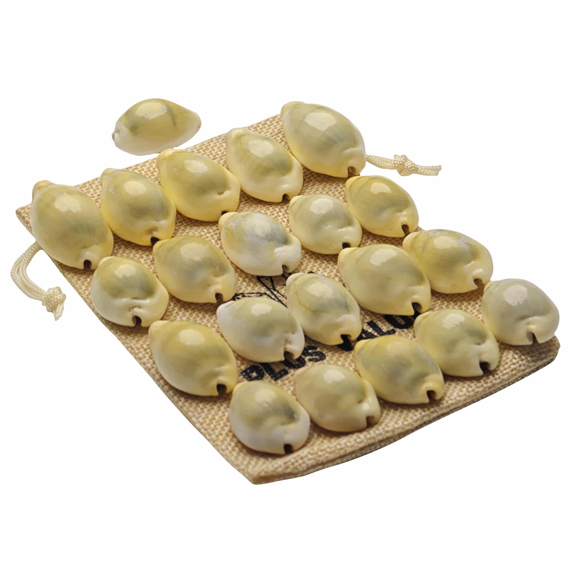 premium-yellow-kaudi-21pcs