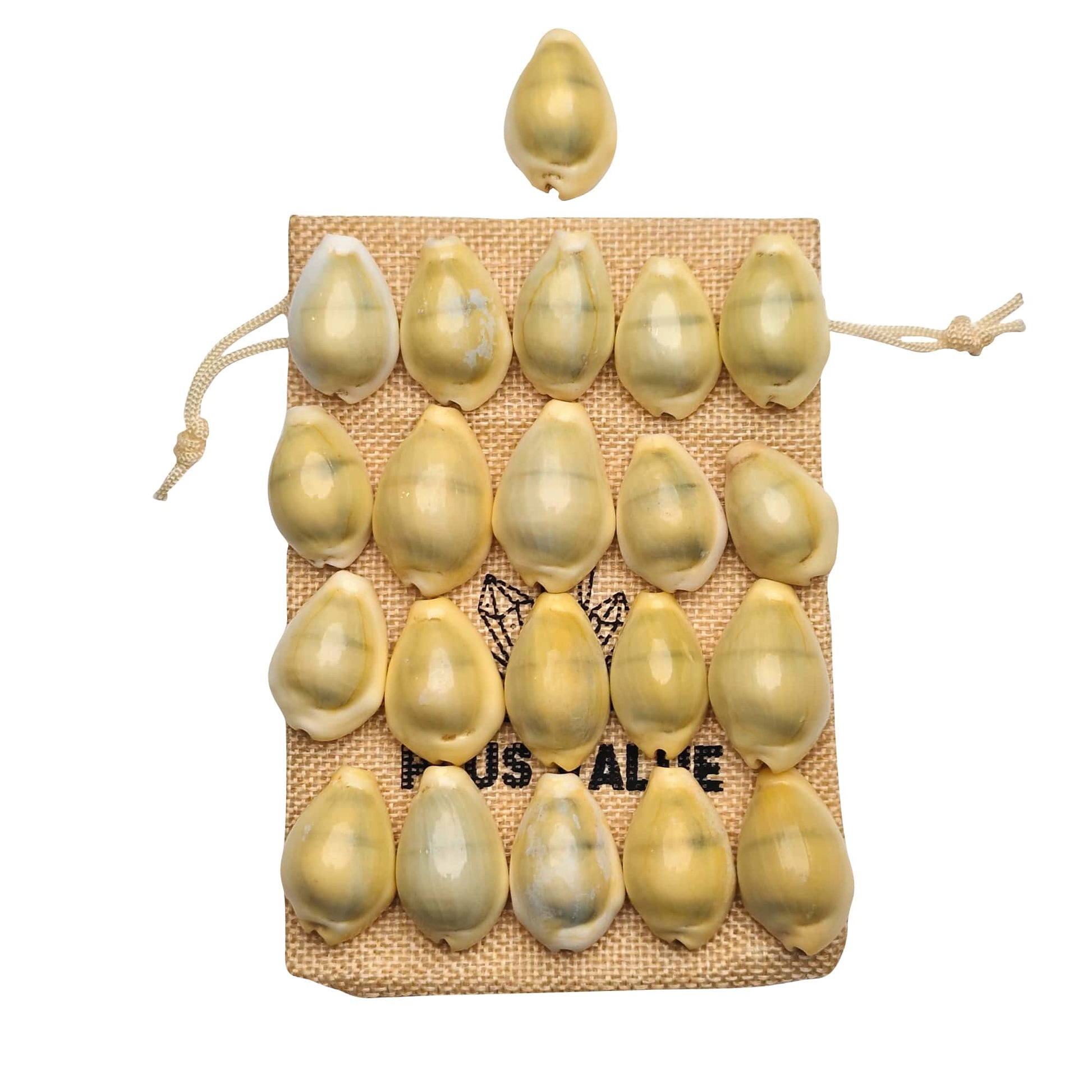 premium yellow kaudi 21pc vastu remedies