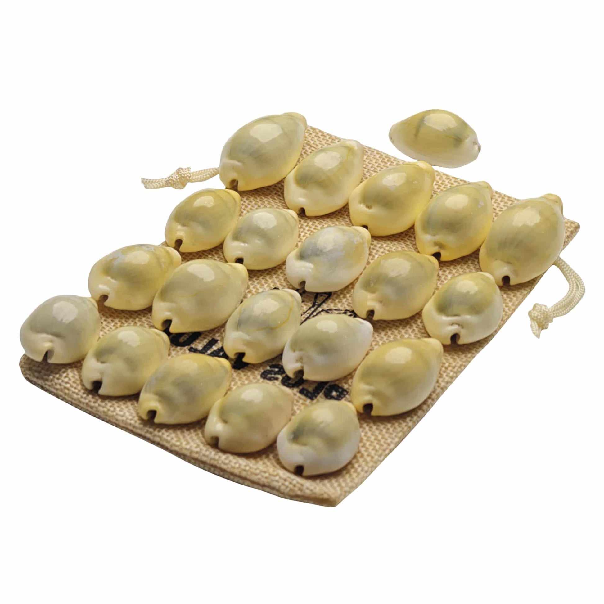 premium-yellow-kaudi-21pcs