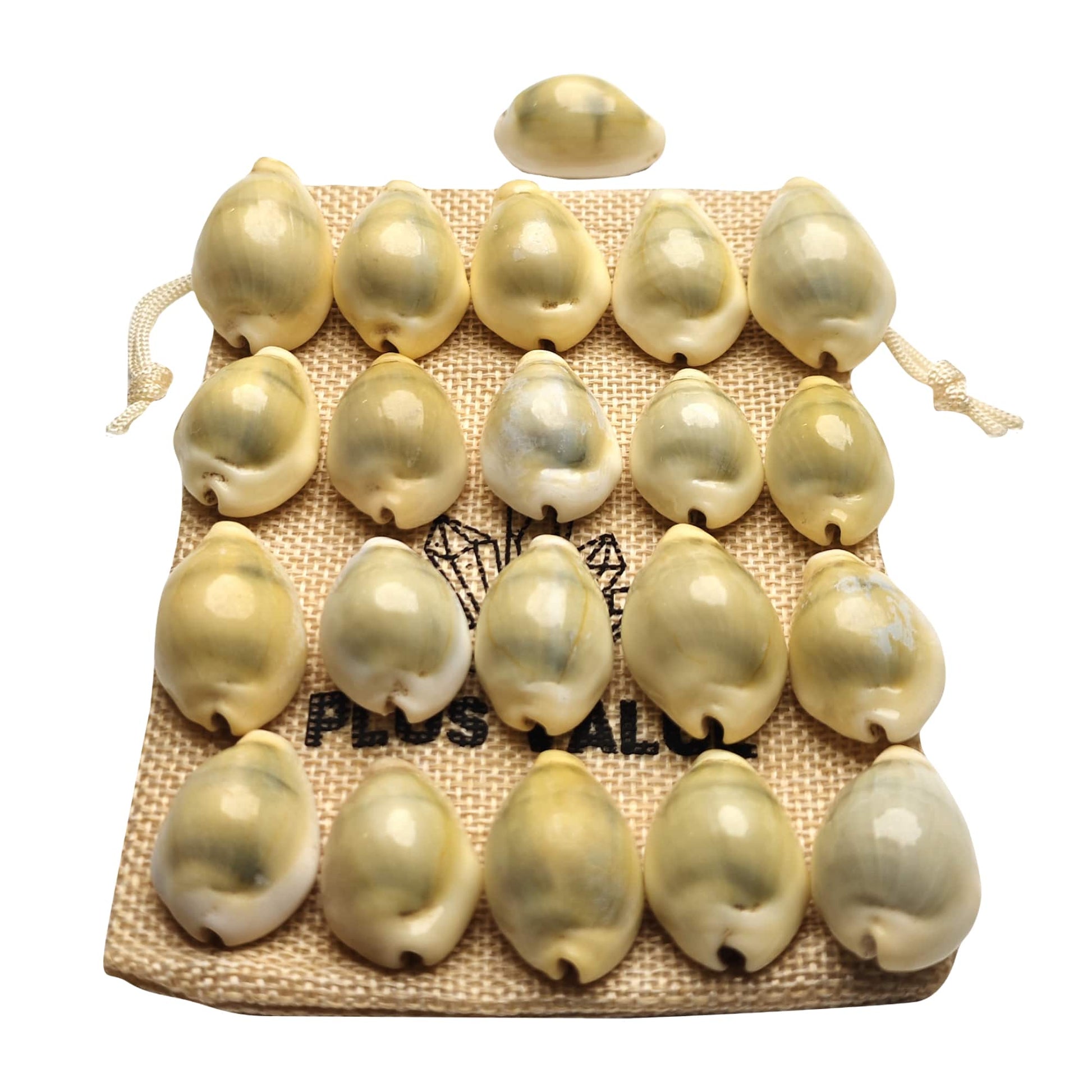 premium-yellow-kaudi-21pcs