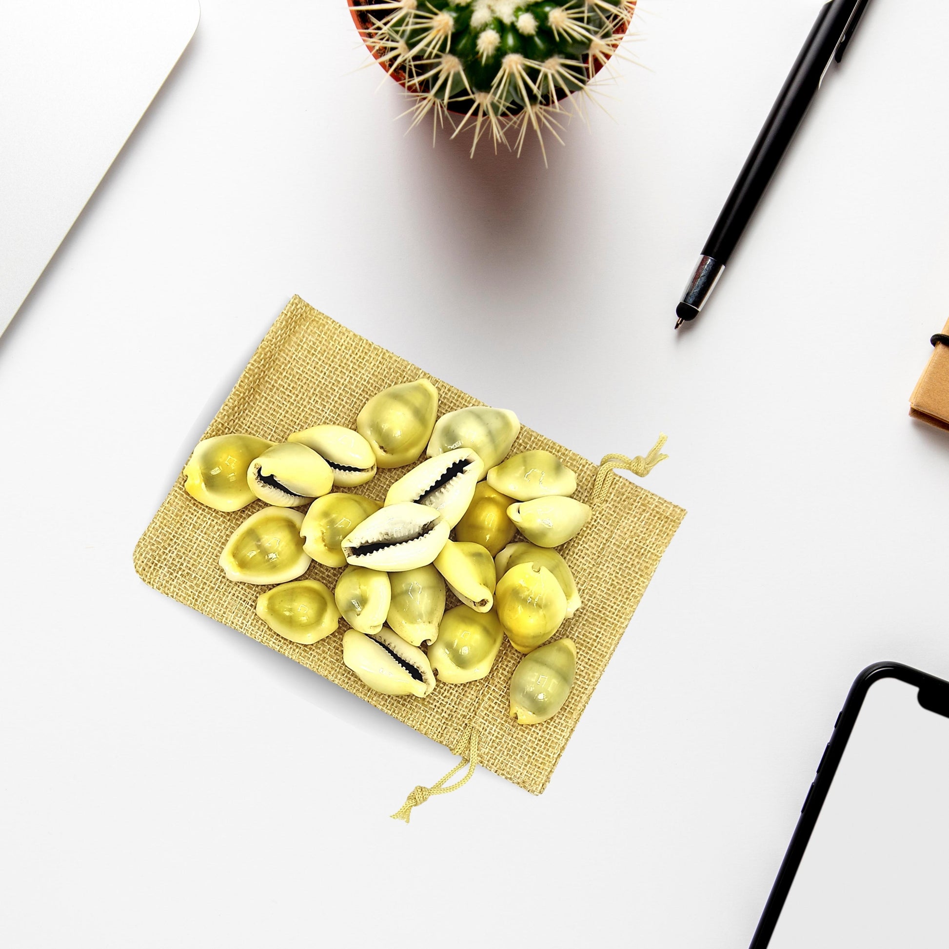 premium-yellow-kaudi-21pcs