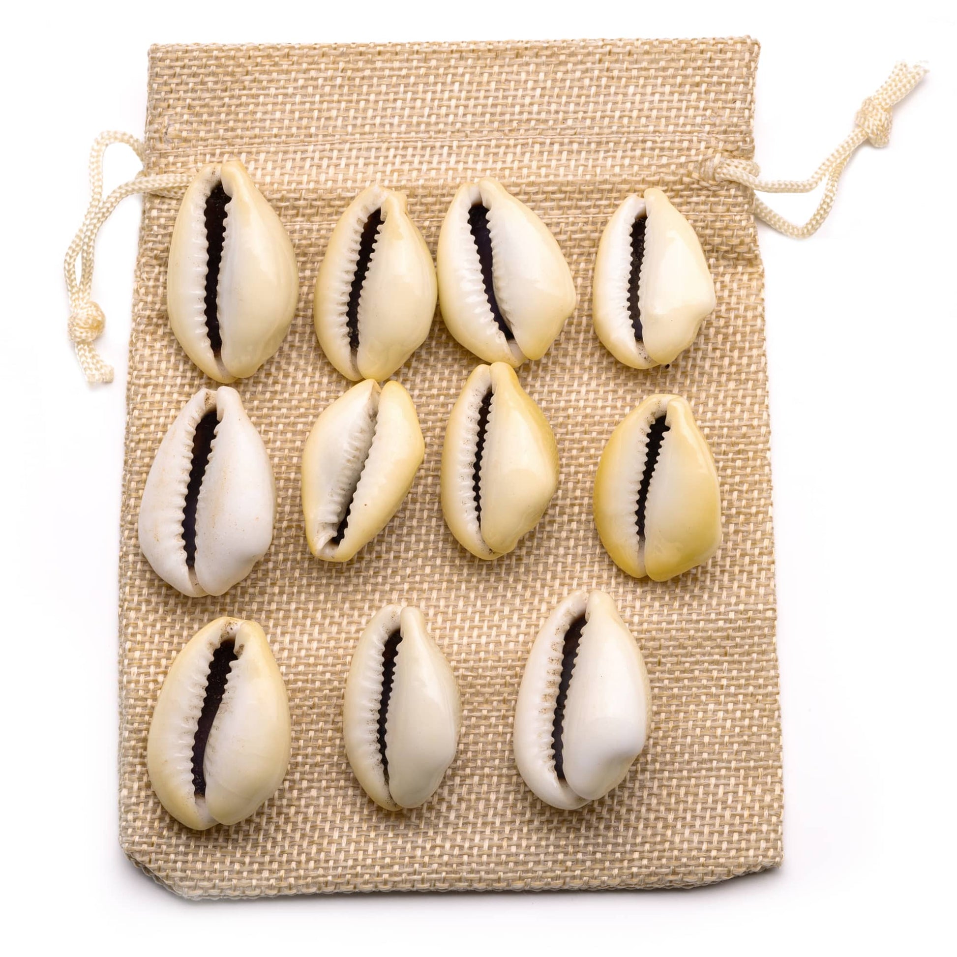 premium-yellow-kaudi-11pcs