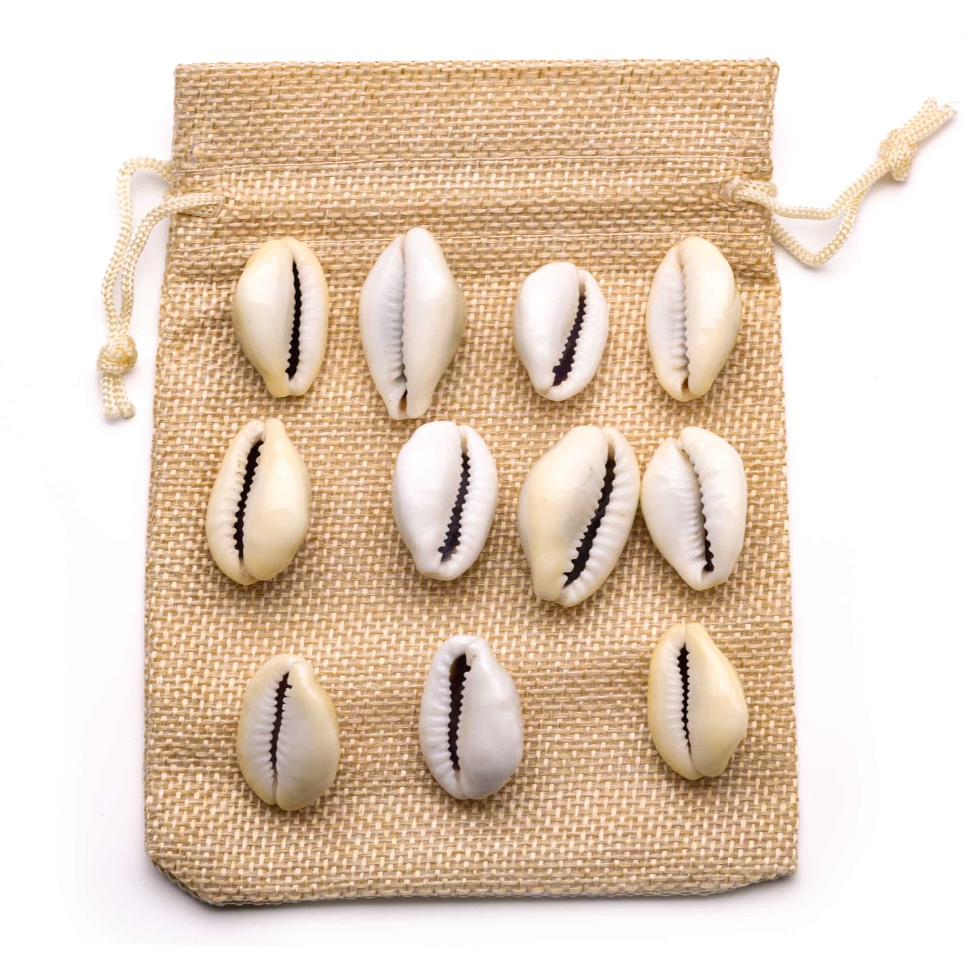 regular-yellow-kaudi-11pcs