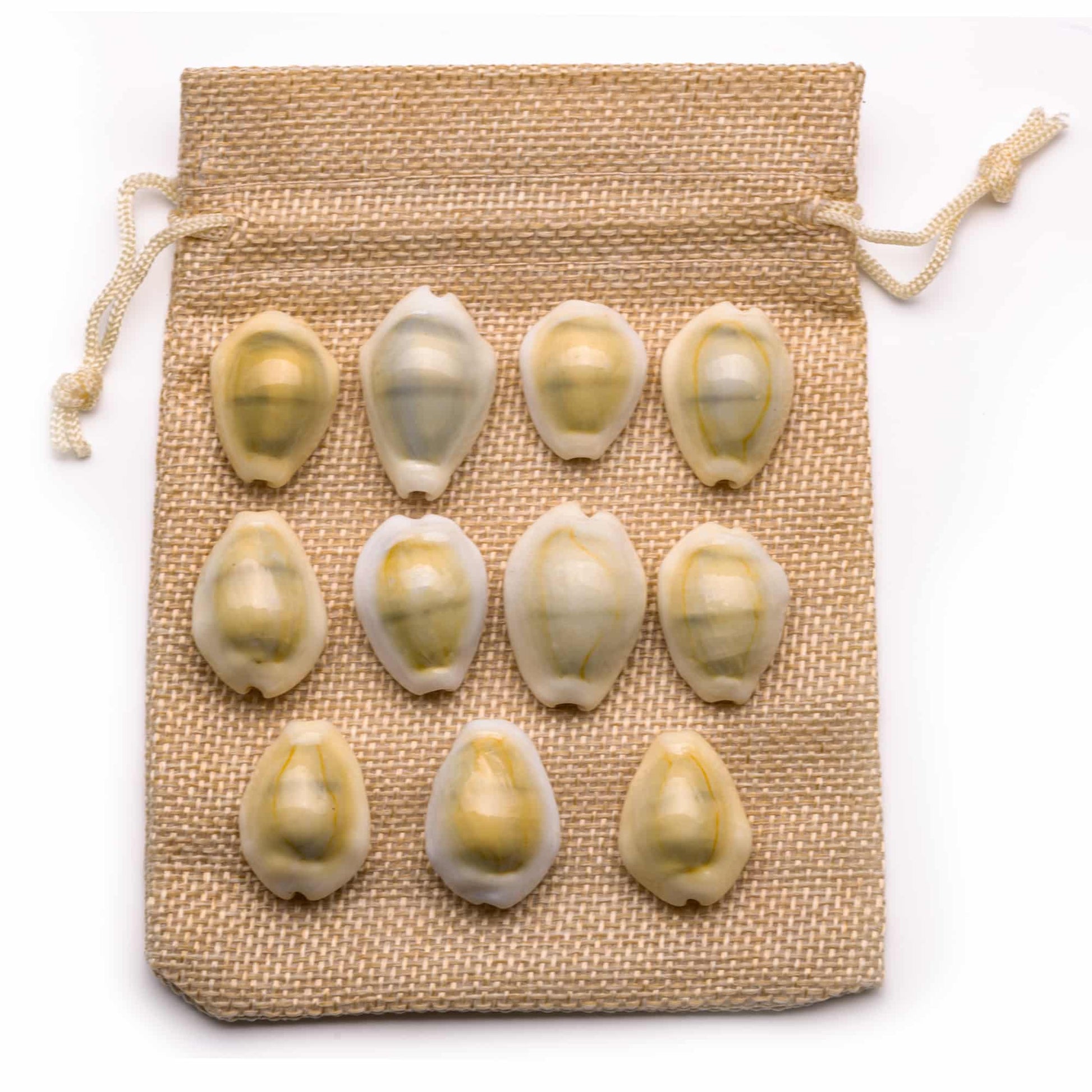 regular yellow kaudi vastu product remedies