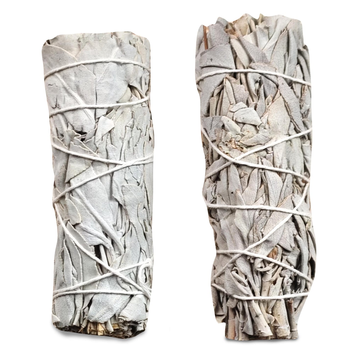 sage-stick-2pkt