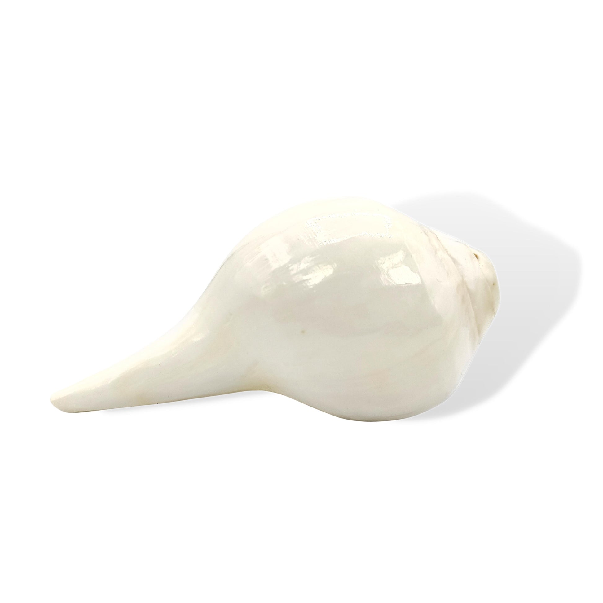 white blowing conch shell shankh vastu product