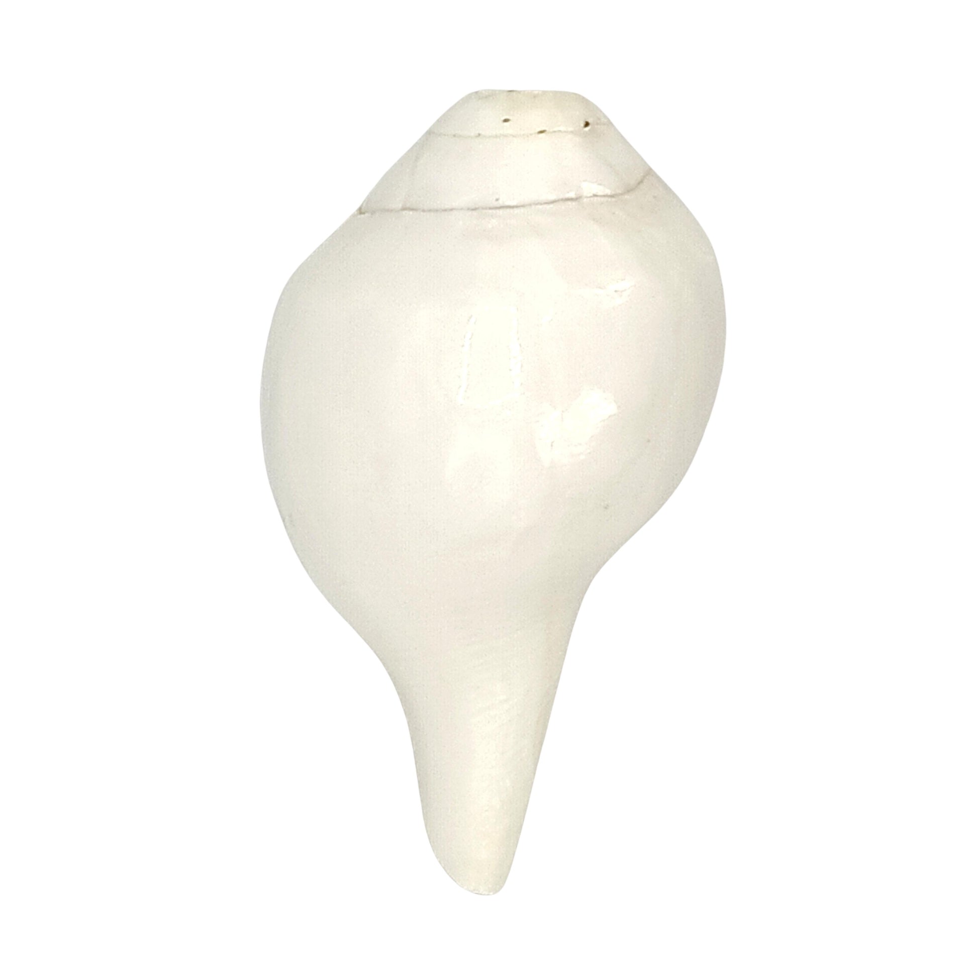 white blowing conch shell shankh vastu remedies