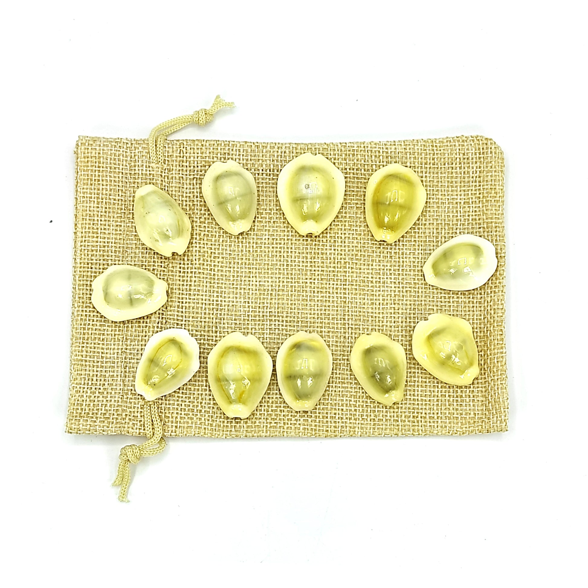 yellow kaudi 11pc vastu product remedies