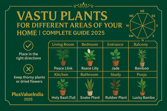 Vastu Plants for Different Areas of Your Home | Complete Guide 2025