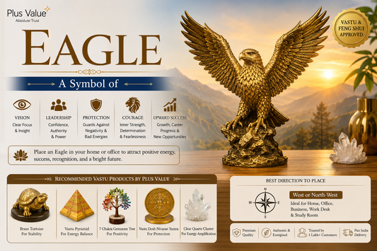 Eagle - A Symbol of Vision, Leadership, Protection , Courage and Upward Success
