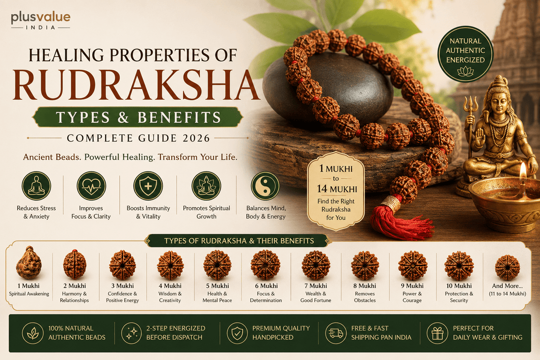 Rudraksha types compared, one to fourteen mukhi beads shown side by side