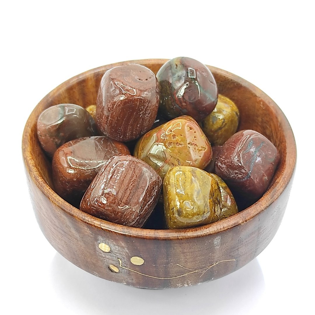 The Healing Powers of Petrified Wood Crystal - plusvalueindia