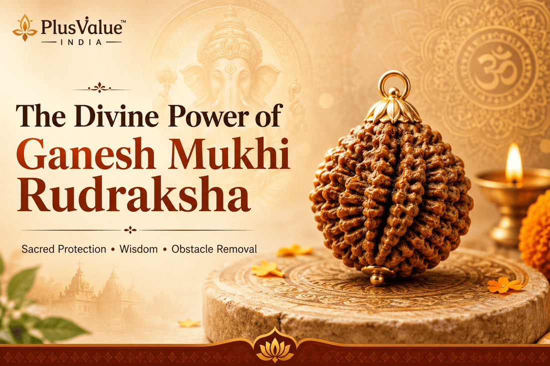 The Divine Power of Ganesh Mukhi Rudraksha - plusvalueindia