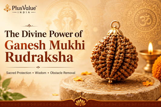 The Divine Power of Ganesh Mukhi Rudraksha - plusvalueindia